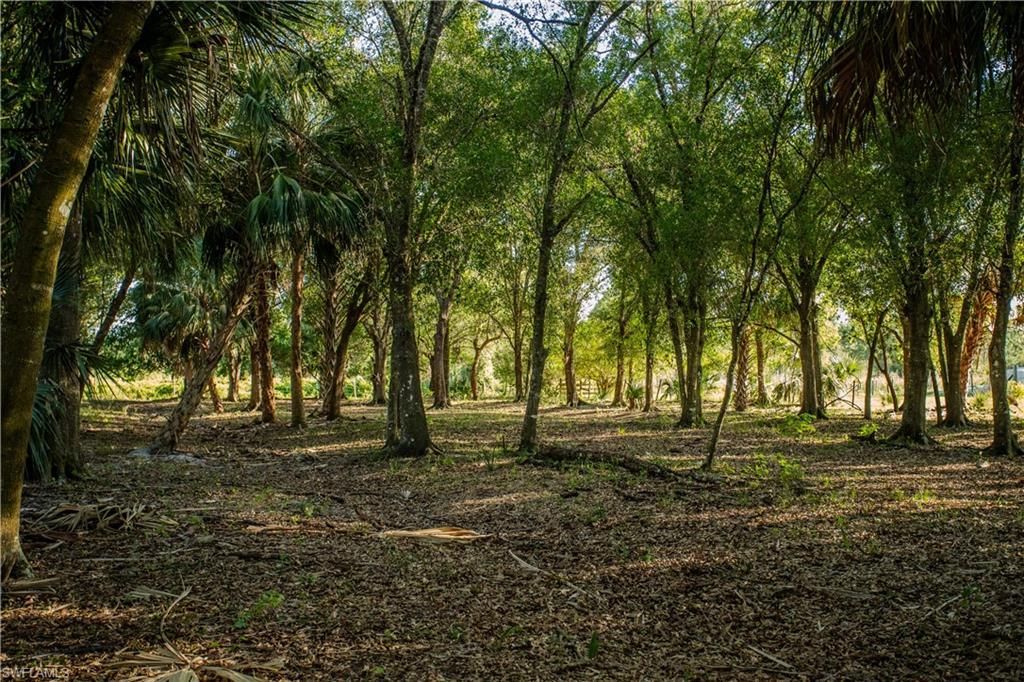 3880 Packinghouse Rd , Alva, FL 33920 Photo