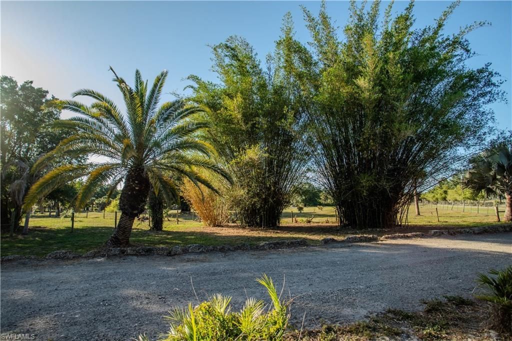 3880 Packinghouse Rd , Alva, FL 33920 Photo