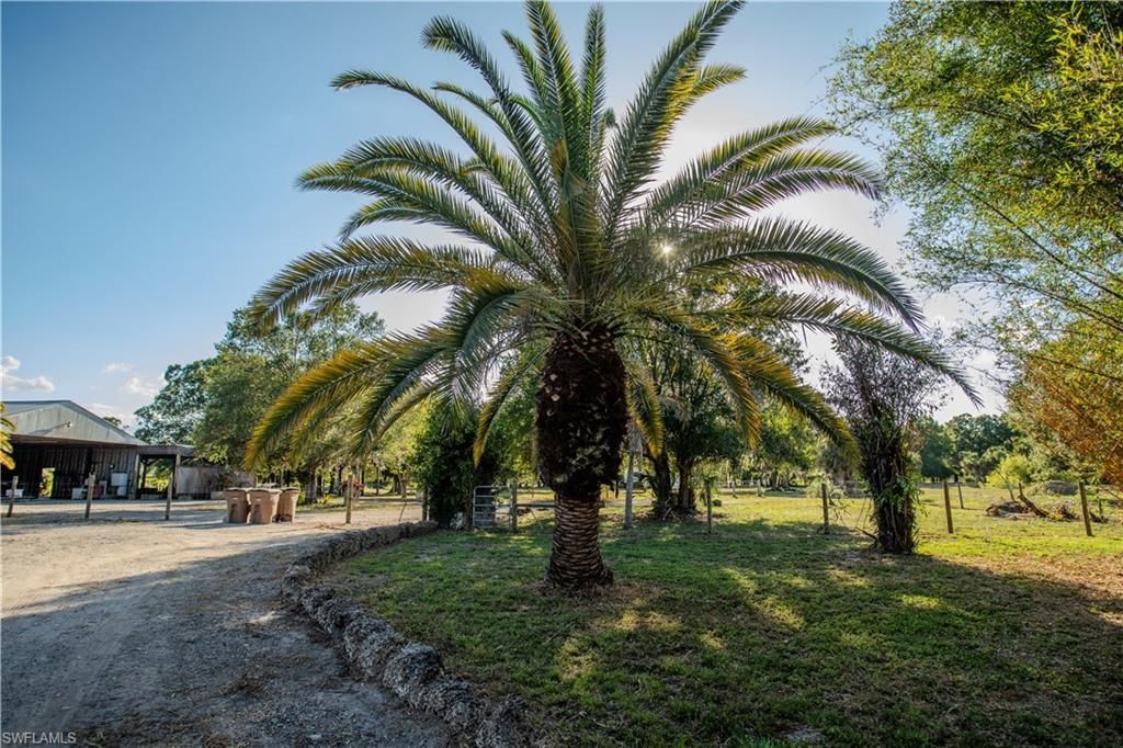 3880 Packinghouse Rd , Alva, FL 33920 Photo