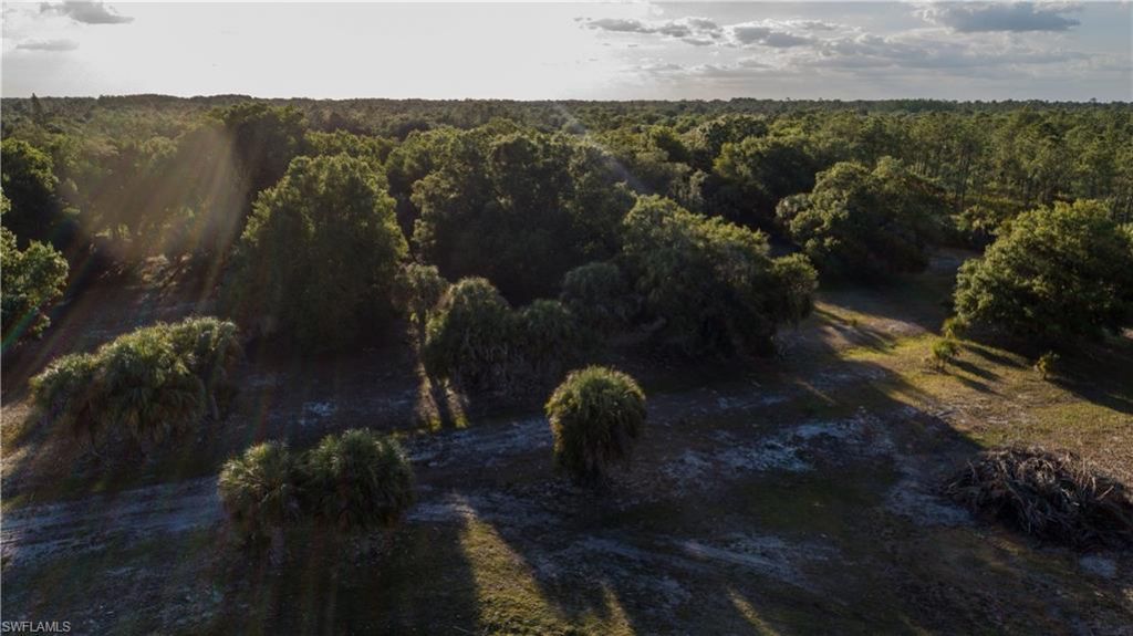 3880 Packinghouse Rd , Alva, FL 33920 Photo