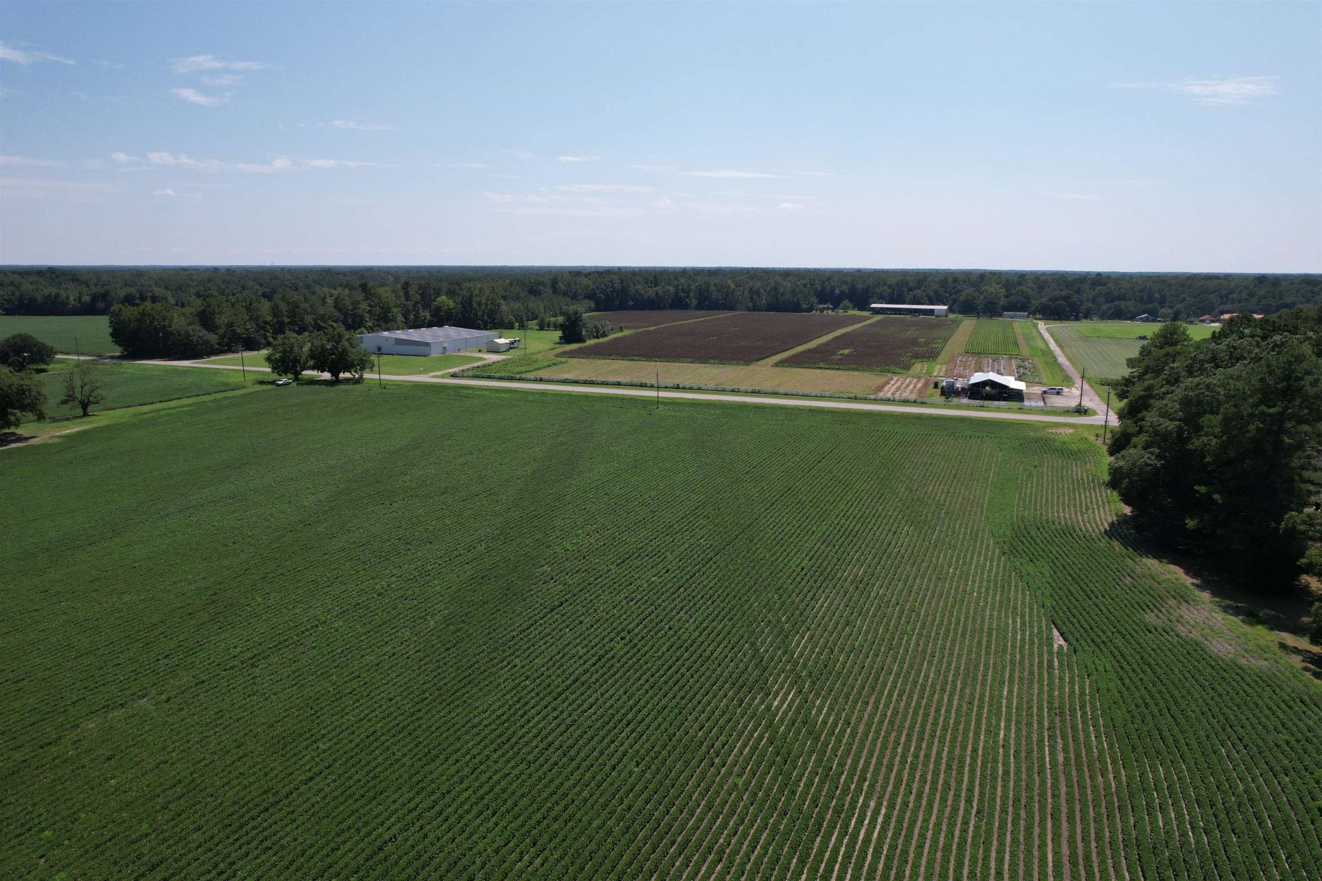 Lot 3 - Sumter Hwy.  Photo 4