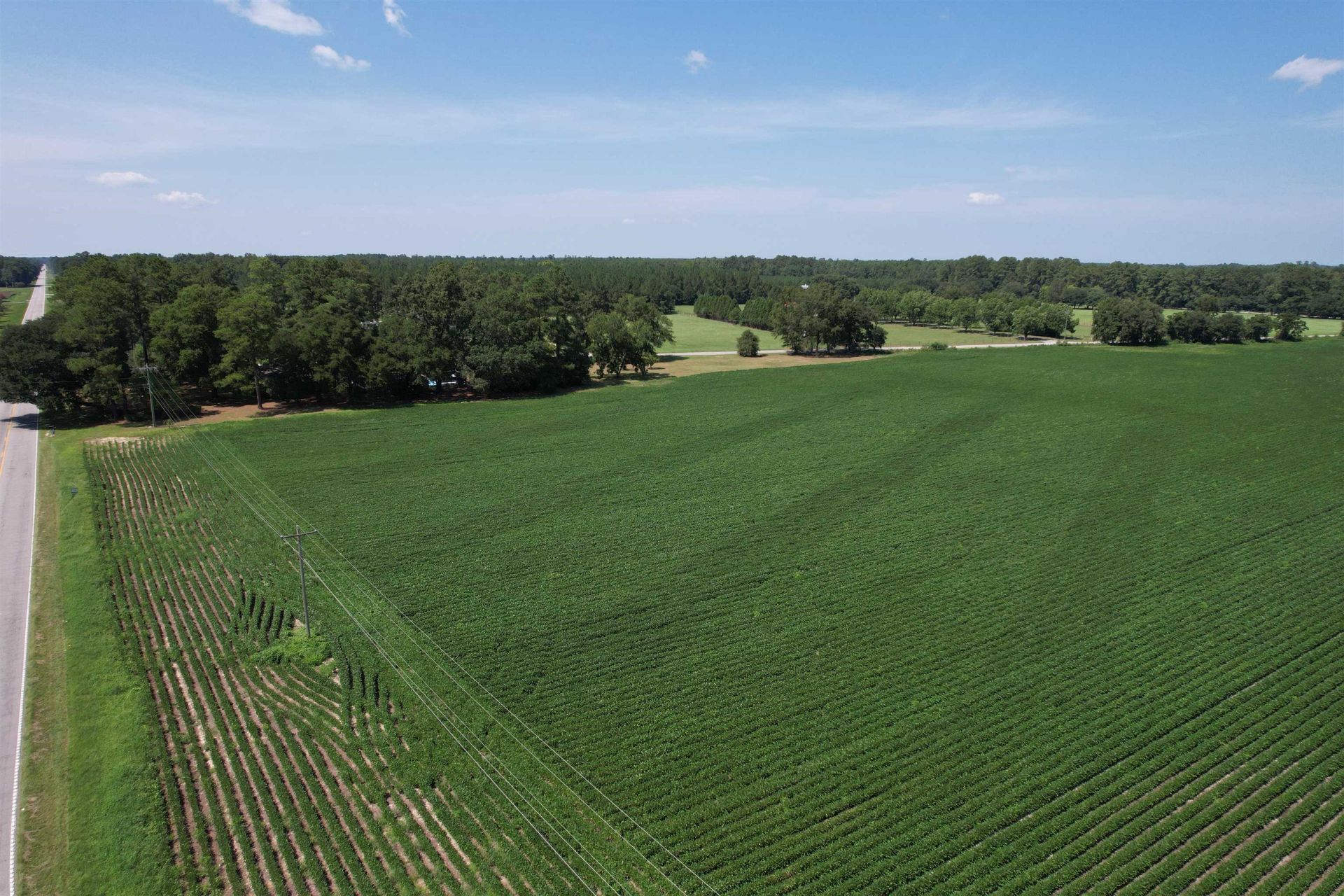 Lot 3 - Sumter Hwy.  Photo 7