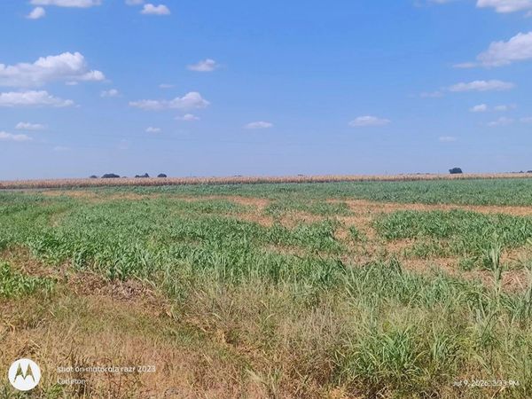 129 County Road 469, Coupland, TX 78615