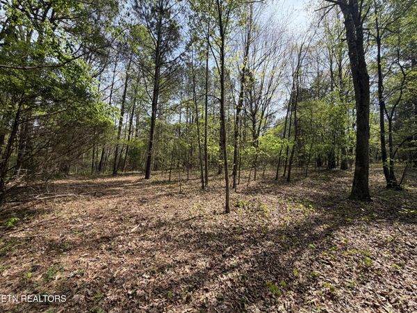 7836 Dry Valley Rd, Loudon, TN 37774