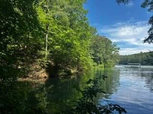 LOT #55 SIPSEY OVERLOOK Dr, Double Springs, AL 35553