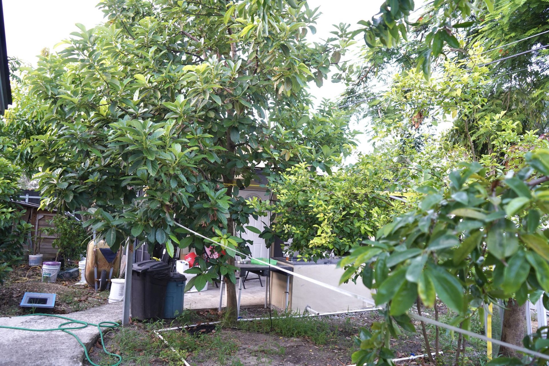16101 SW 98th Avenue, Miami, FL 33157 Photo