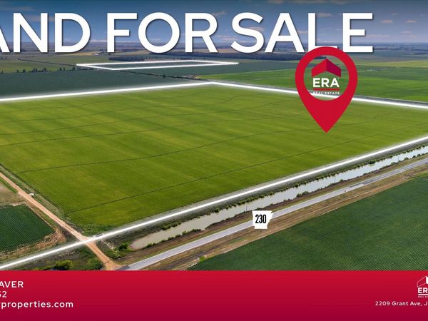 586 Acres CR 153, Bono, AR 72416