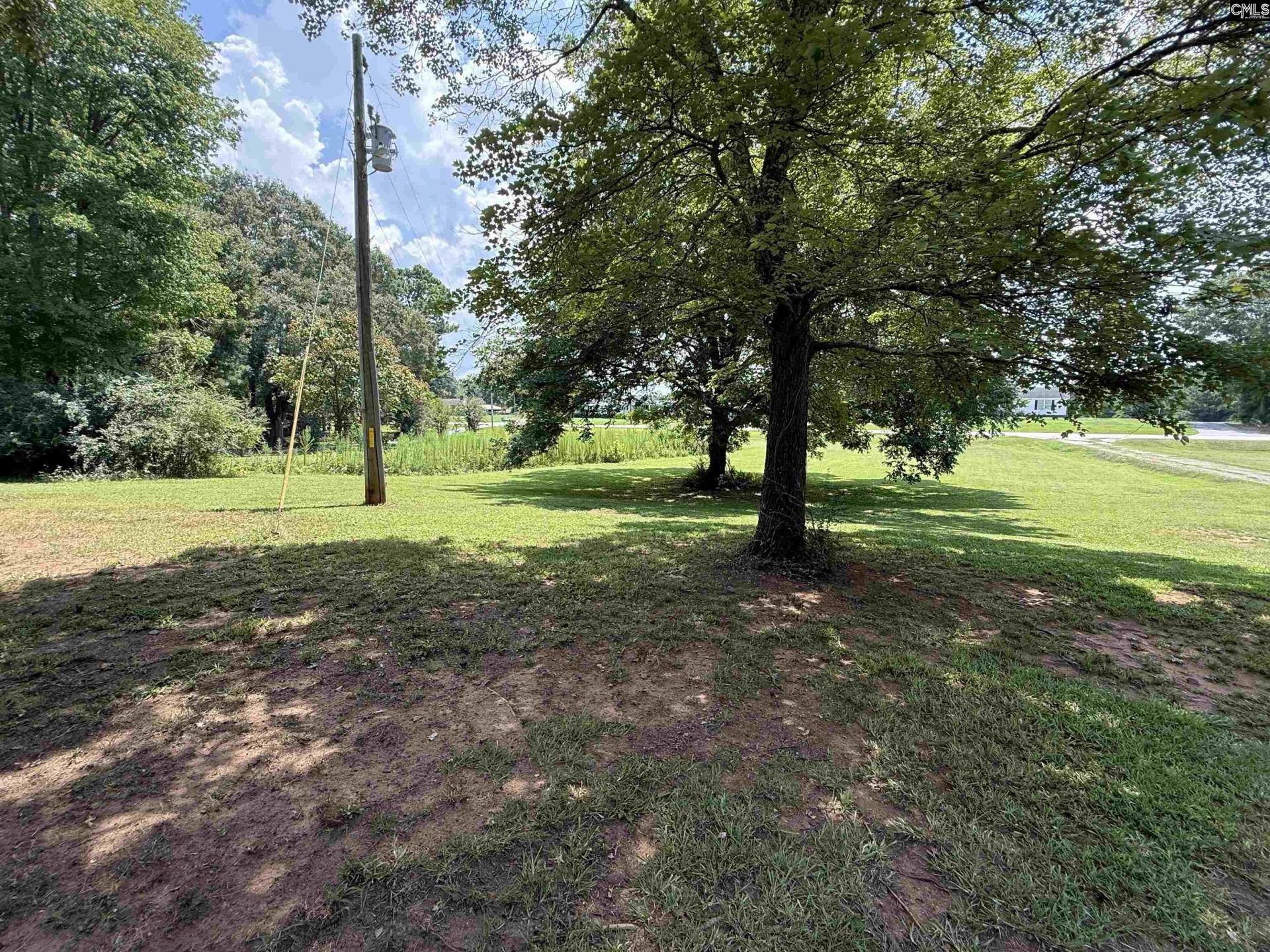2867 Sc Hwy 219 Photo 24