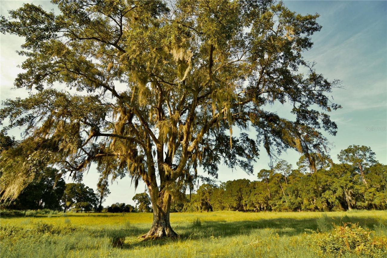 4802 NW 50th Road , Starke, FL 32091 Photo