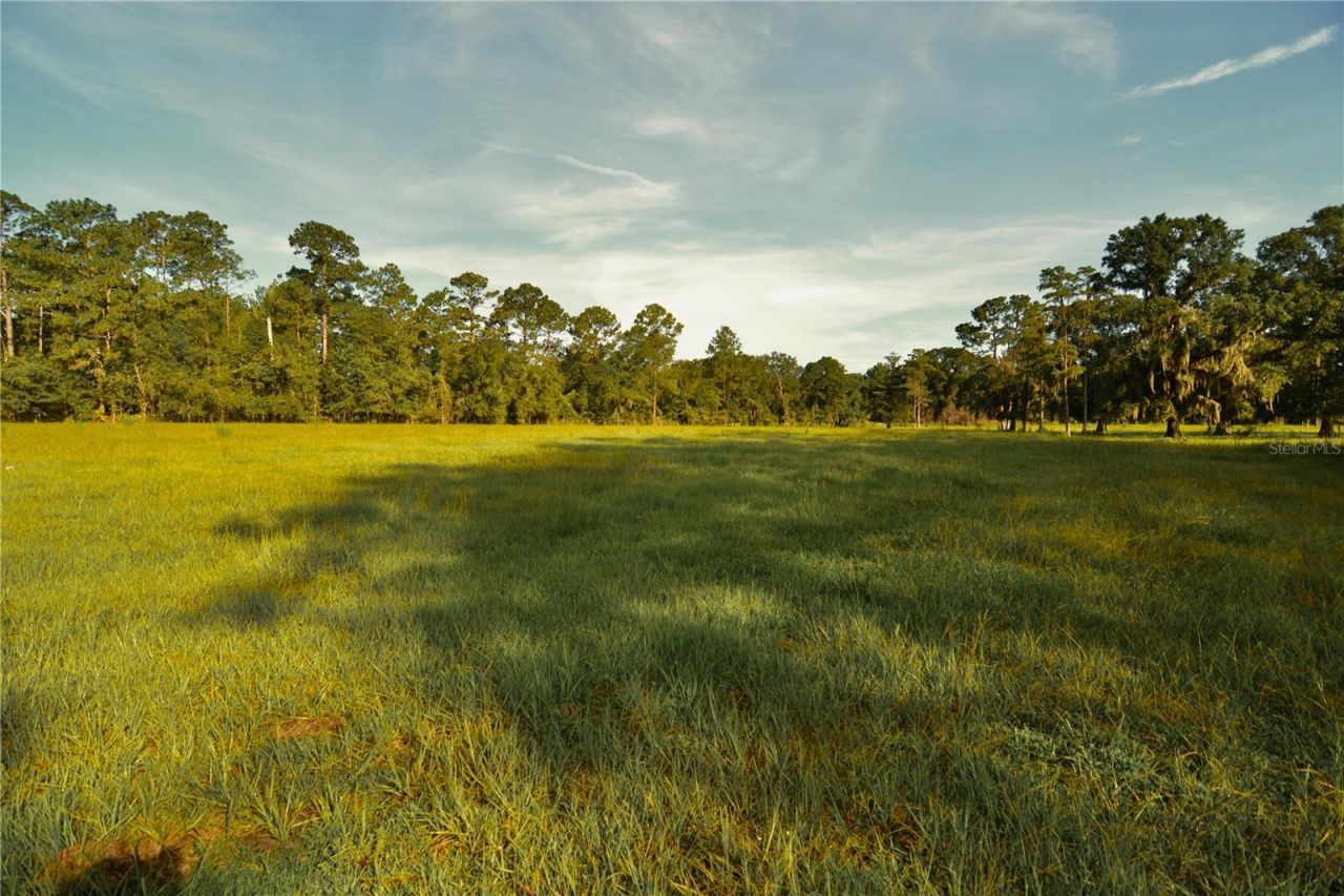 4802 NW 50th Road , Starke, FL 32091 Photo
