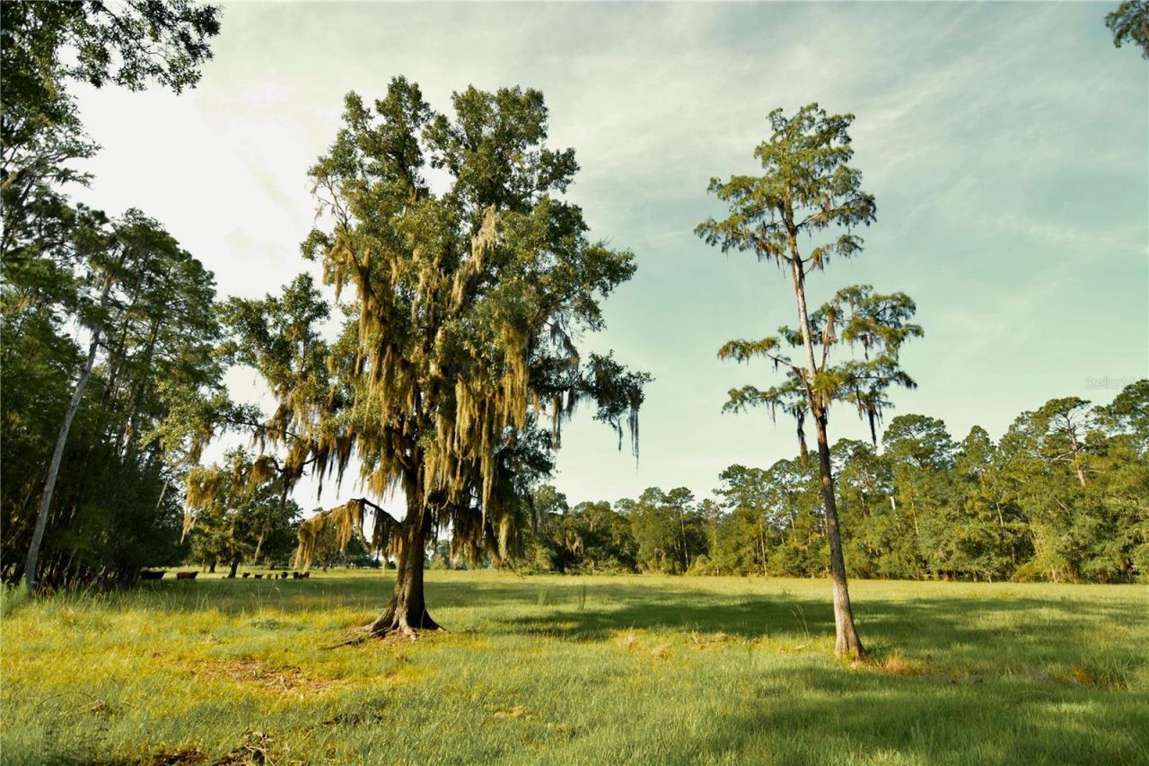 4802 NW 50th Road , Starke, FL 32091 Photo