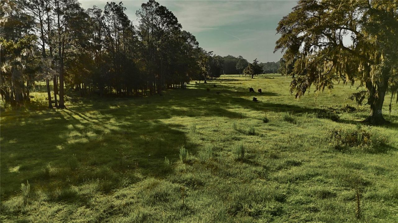 4802 NW 50th Road , Starke, FL 32091 Photo
