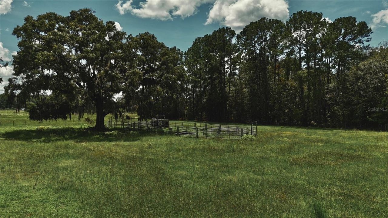 4802 NW 50th Road , Starke, FL 32091 Photo