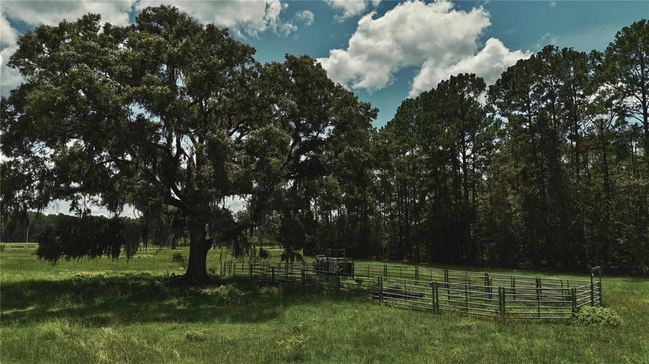 4802 NW 50th Road , Starke, FL 32091 Photo