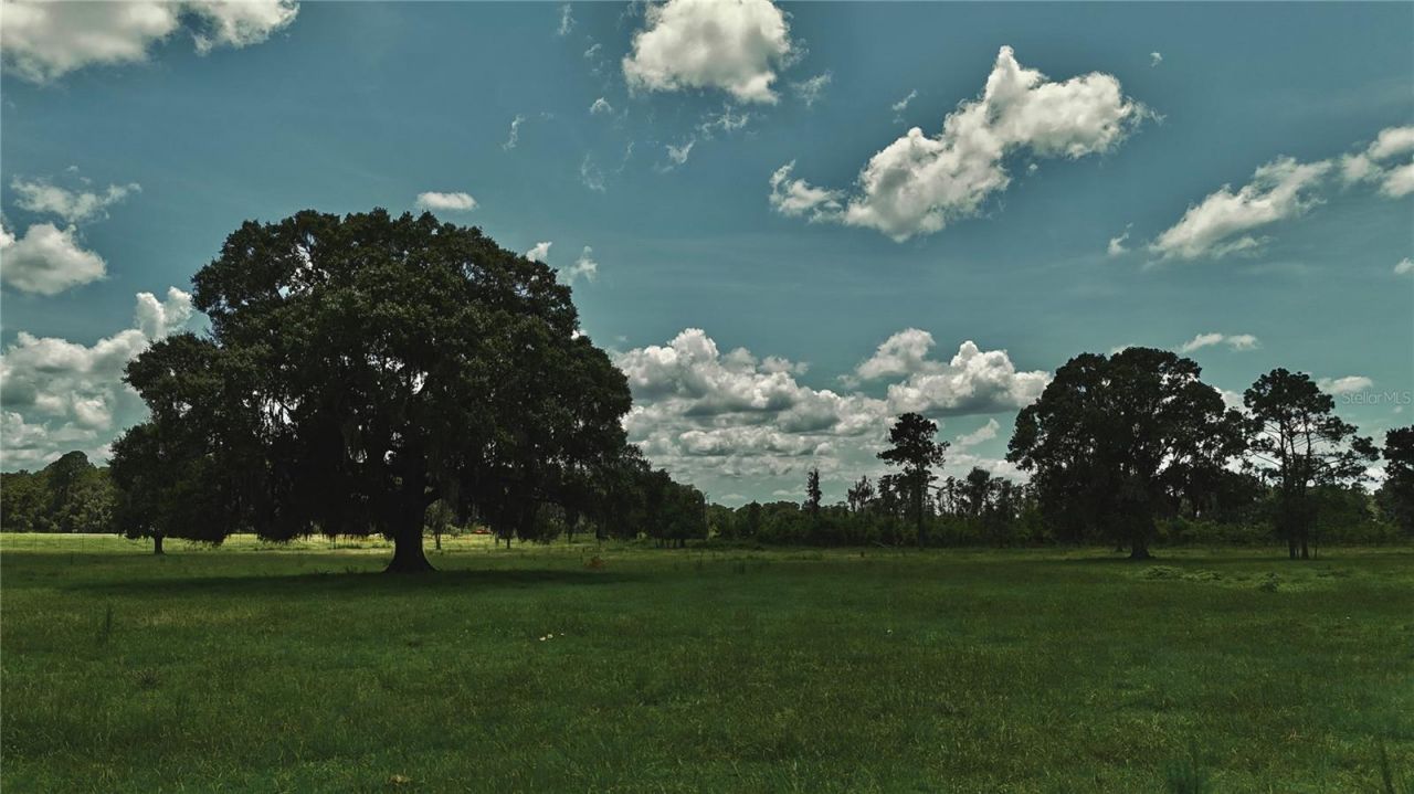 4802 NW 50th Road , Starke, FL 32091 Photo