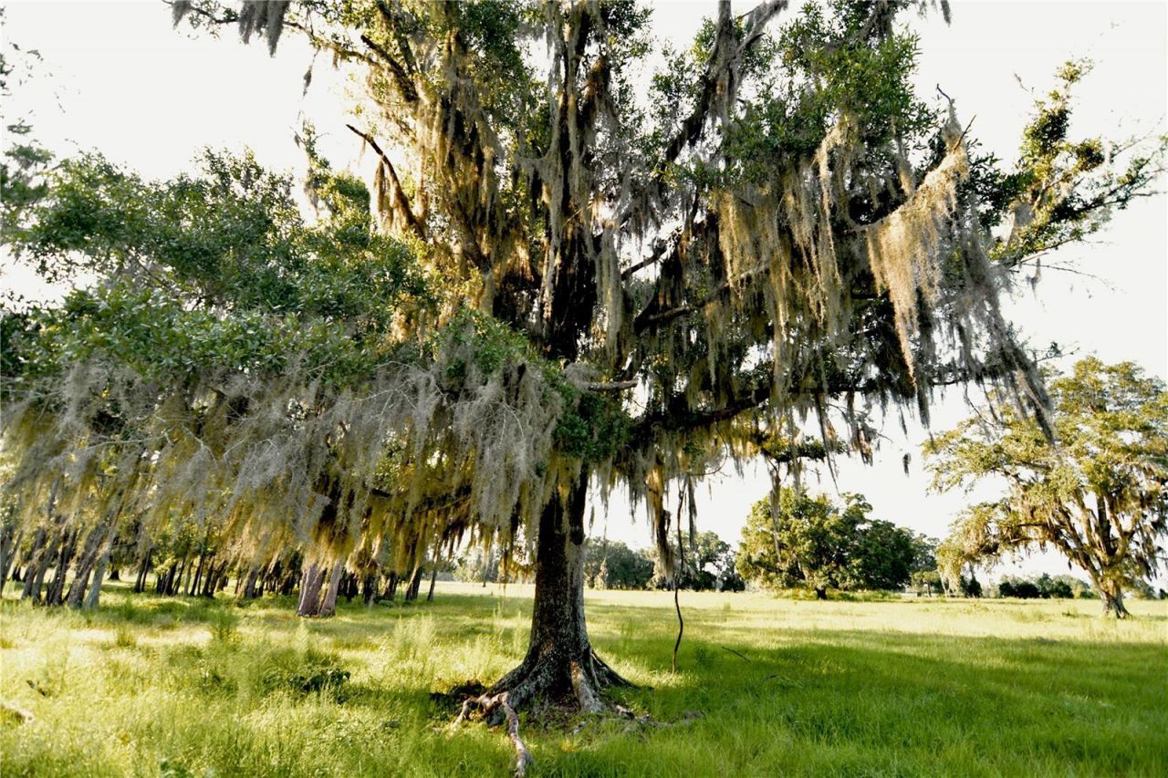 4802 NW 50th Road , Starke, FL 32091 Photo