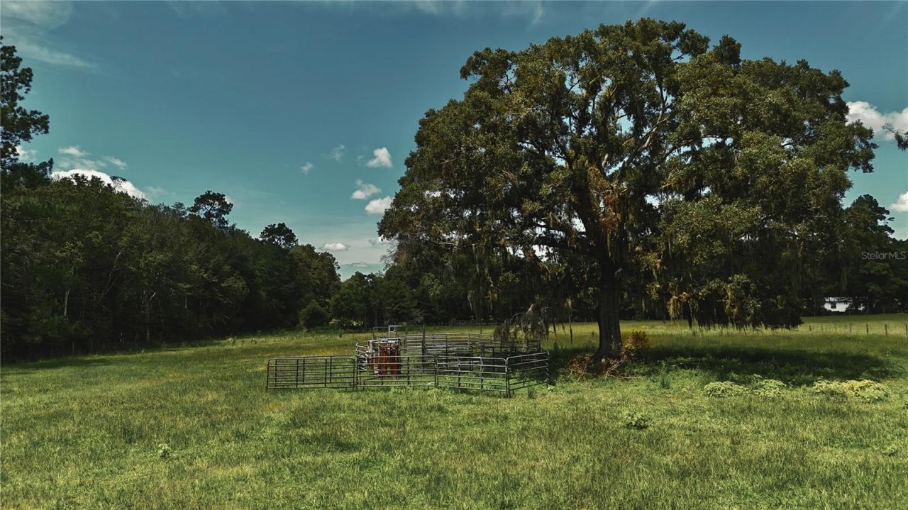 4802 NW 50th Road , Starke, FL 32091 Photo
