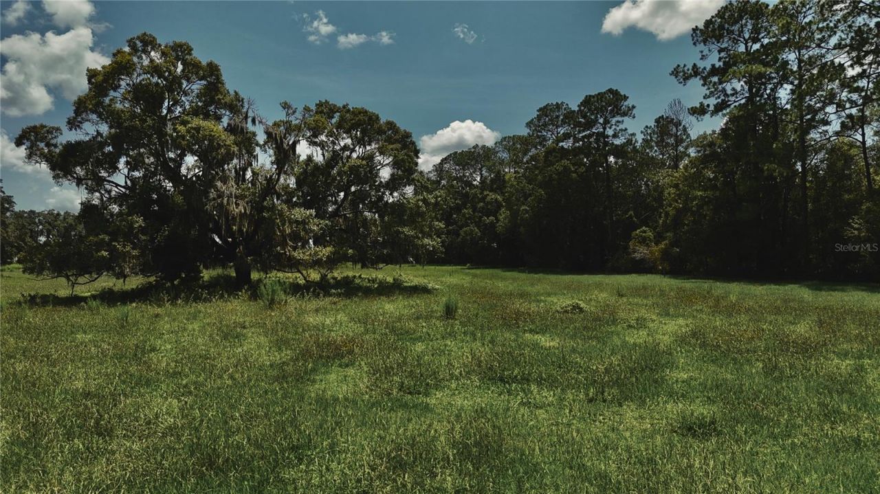 4802 NW 50th Road , Starke, FL 32091 Photo