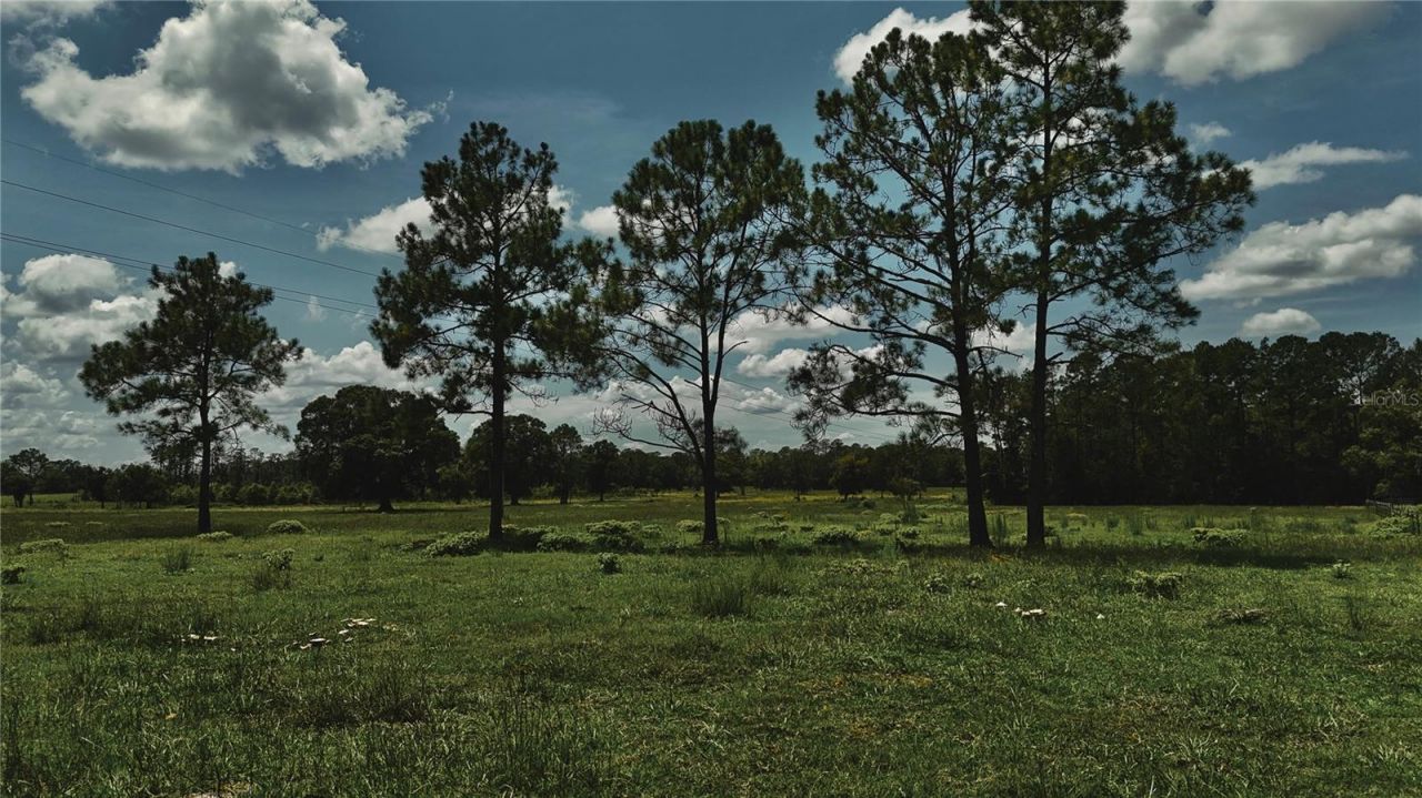 4802 NW 50th Road , Starke, FL 32091 Photo