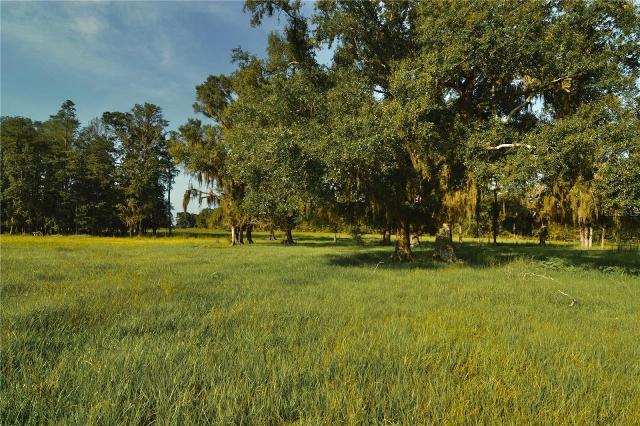 4802 NW 50th Road , Starke, FL 32091 Photo