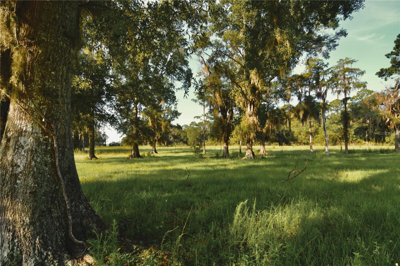 4802 NW 50th Road , Starke, FL 32091 Photo