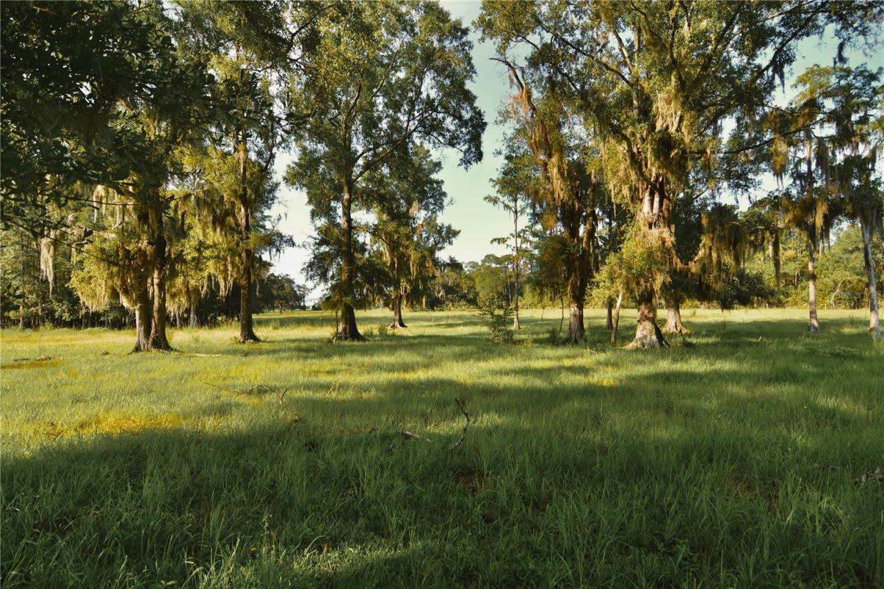 4802 NW 50th Road , Starke, FL 32091 Photo