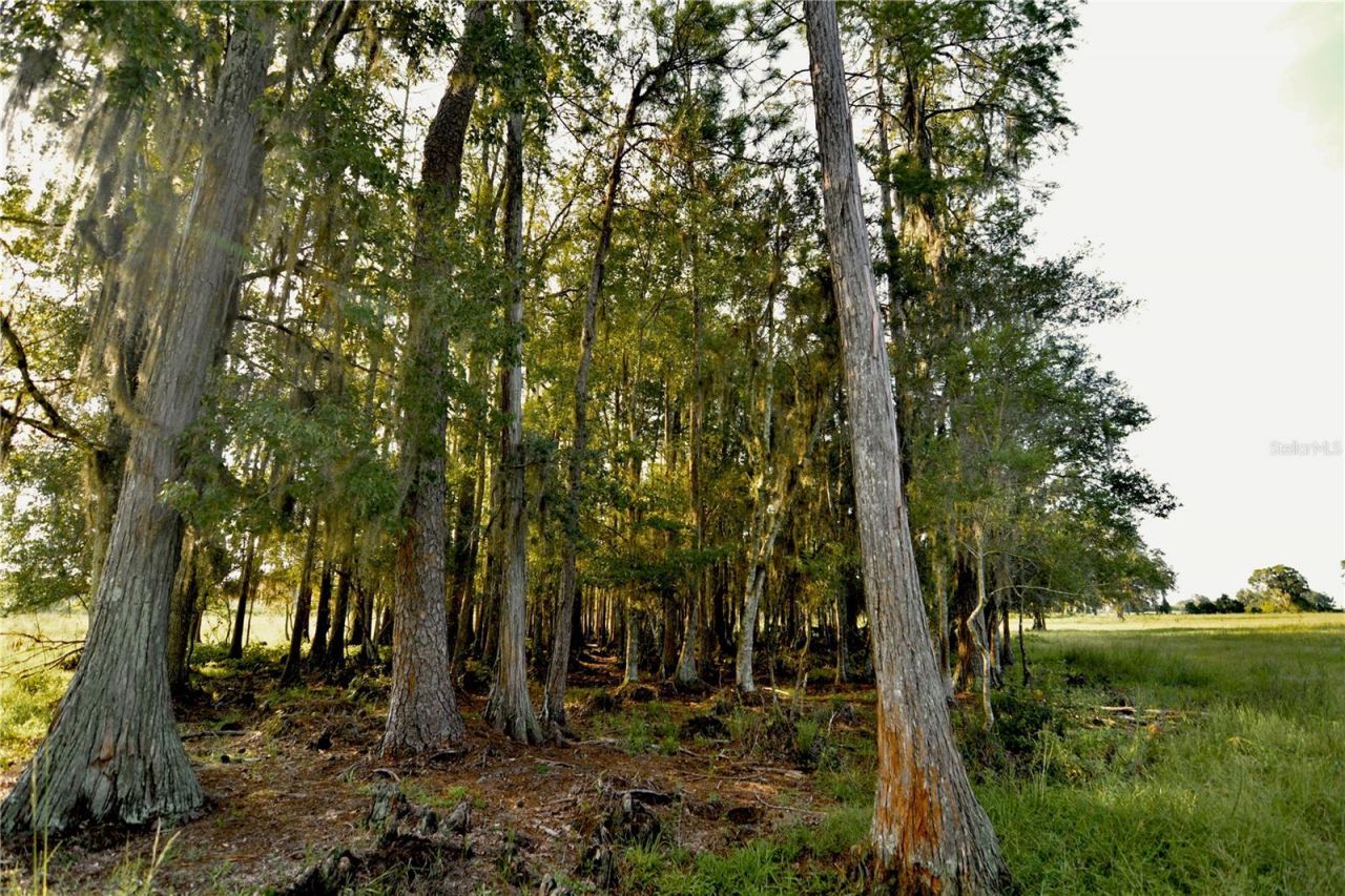 4802 NW 50th Road , Starke, FL 32091 Photo
