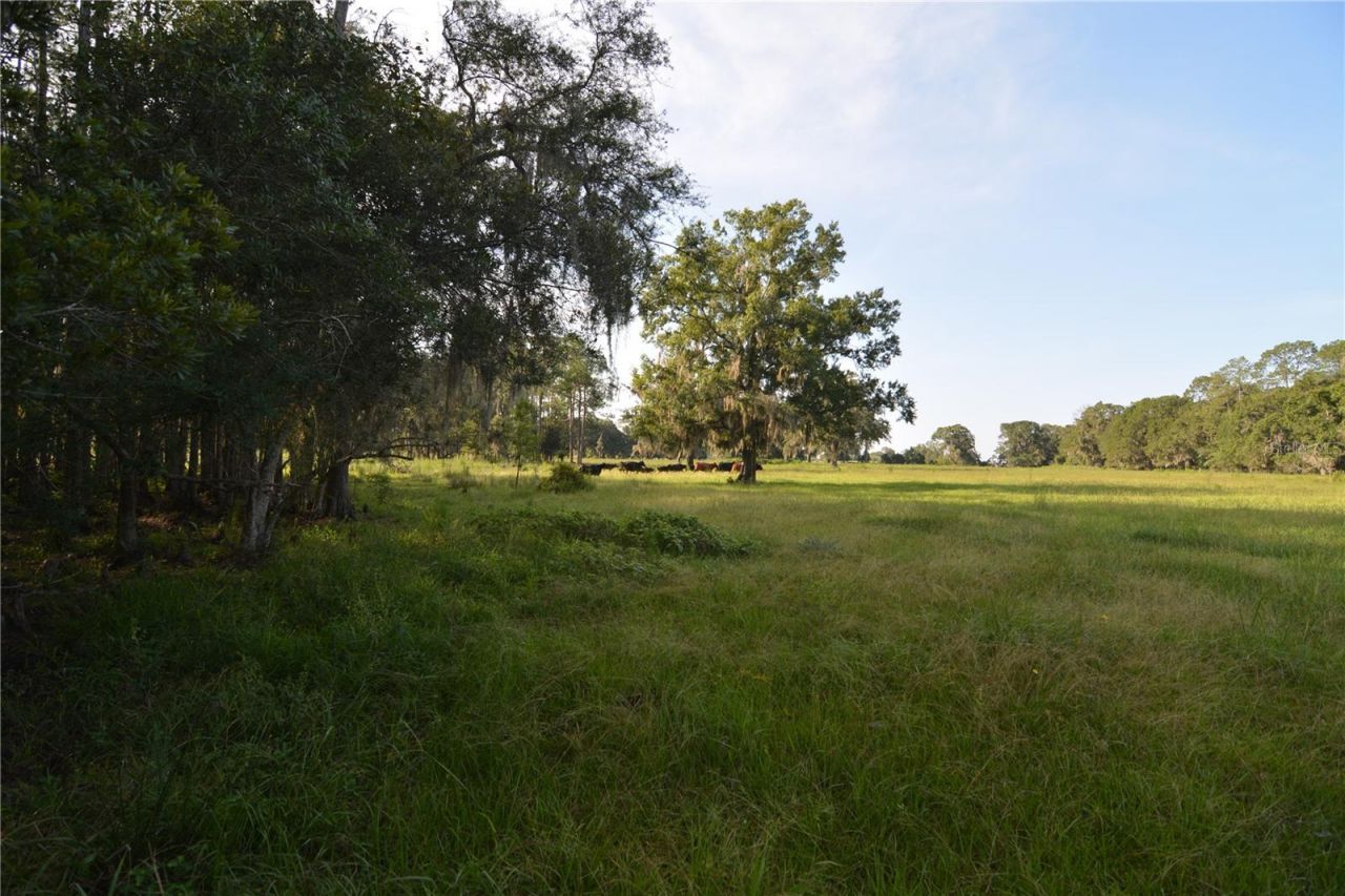 4802 NW 50th Road , Starke, FL 32091 Photo