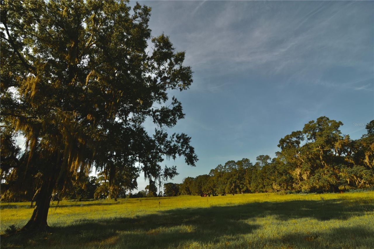 4802 NW 50th Road , Starke, FL 32091 Photo