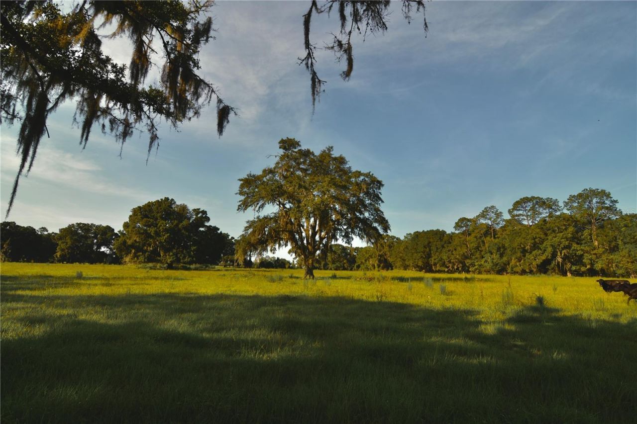 4802 NW 50th Road , Starke, FL 32091 Photo