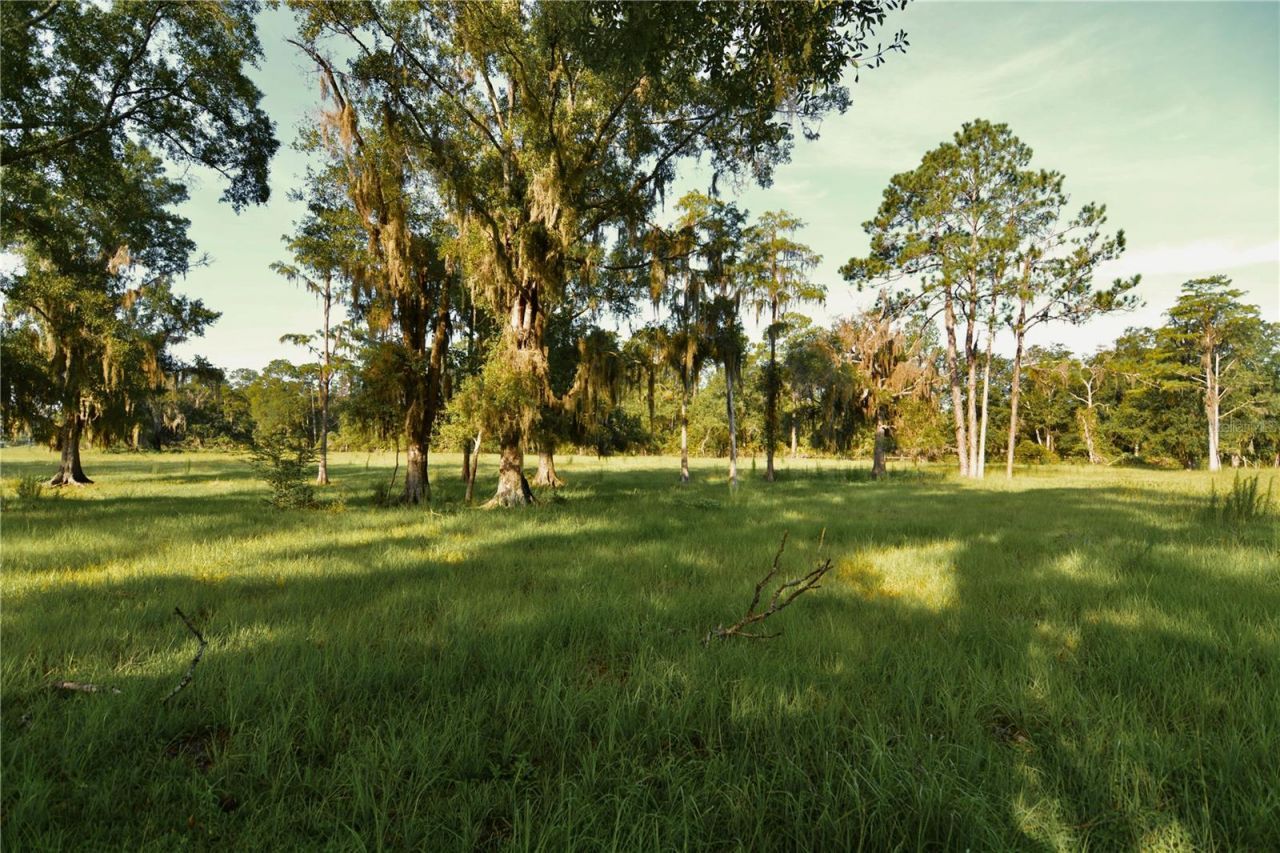 4802 NW 50th Road , Starke, FL 32091 Photo