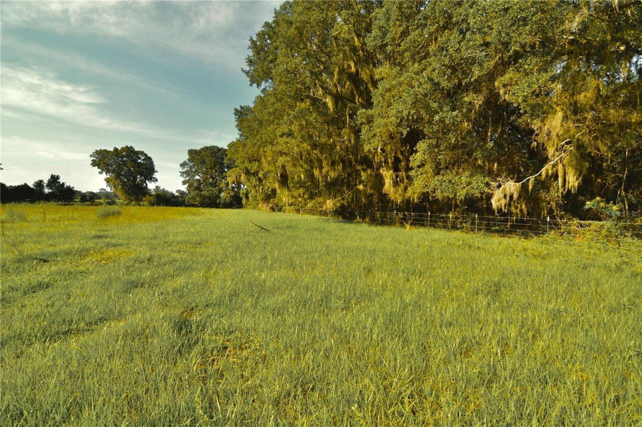 4802 NW 50th Road , Starke, FL 32091 Photo