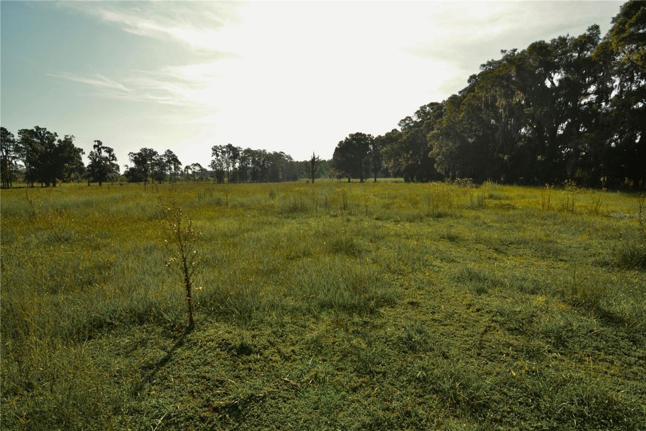4802 NW 50th Road , Starke, FL 32091 Photo