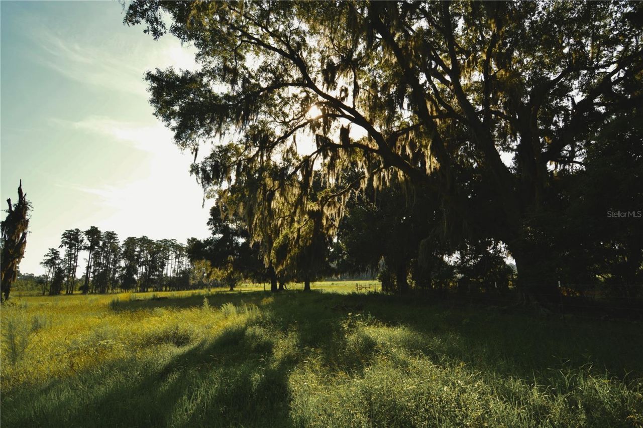 4802 NW 50th Road , Starke, FL 32091 Photo