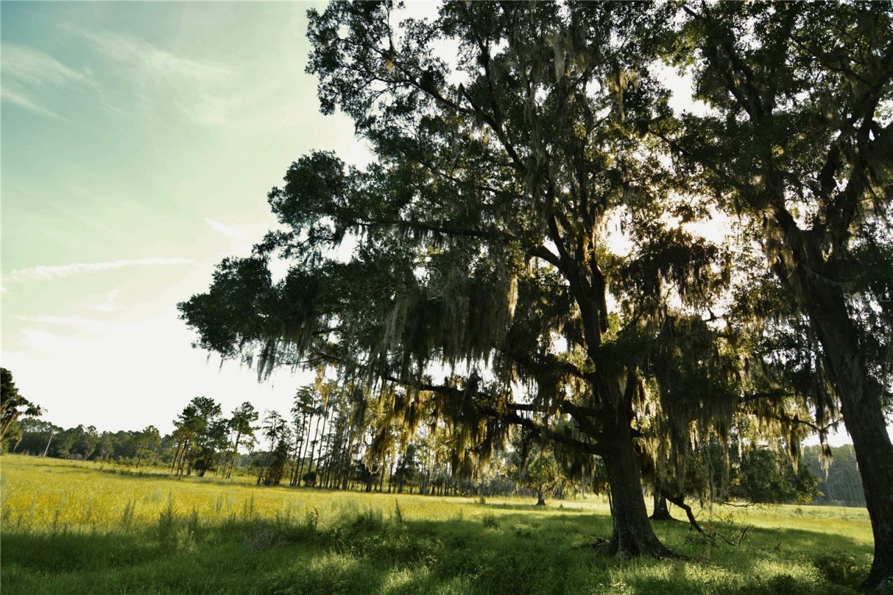 4802 NW 50th Road , Starke, FL 32091 Photo