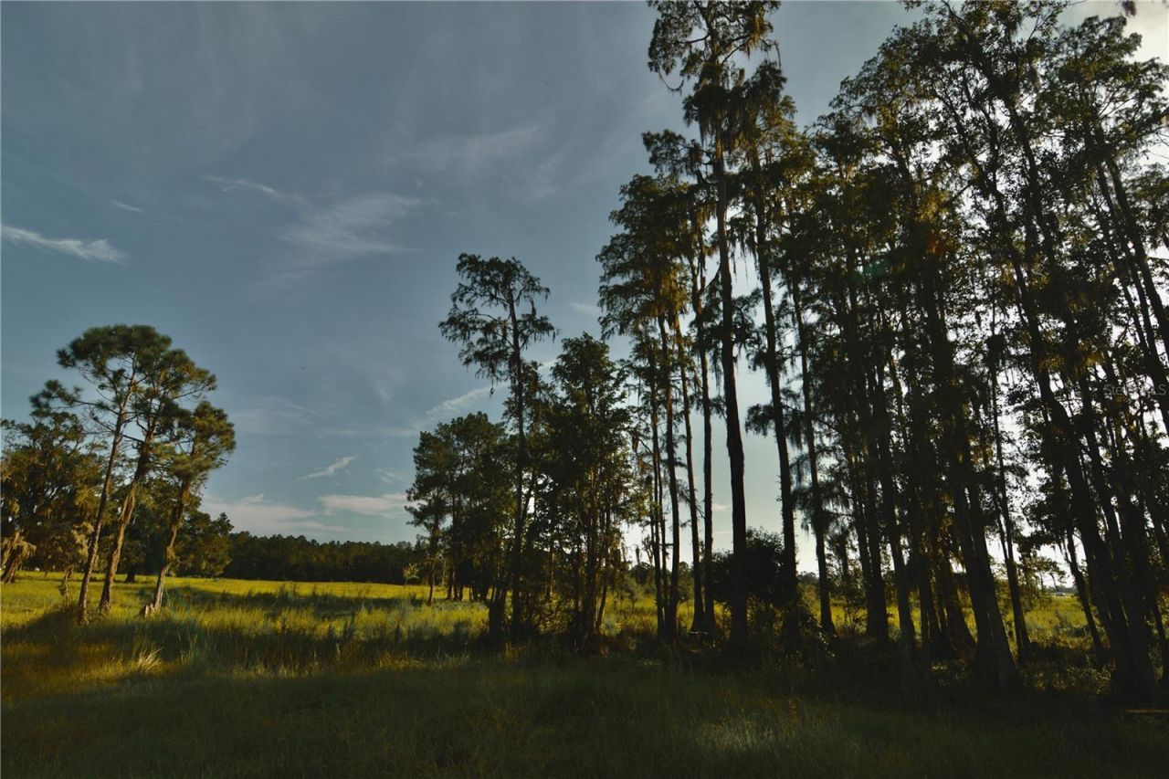4802 NW 50th Road , Starke, FL 32091 Photo