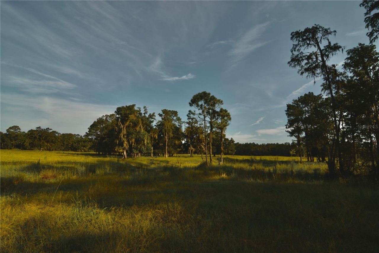 4802 NW 50th Road , Starke, FL 32091 Photo