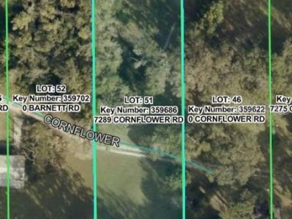7289 CORNFLOWER ROAD , BROOKSVILLE, FL 34601