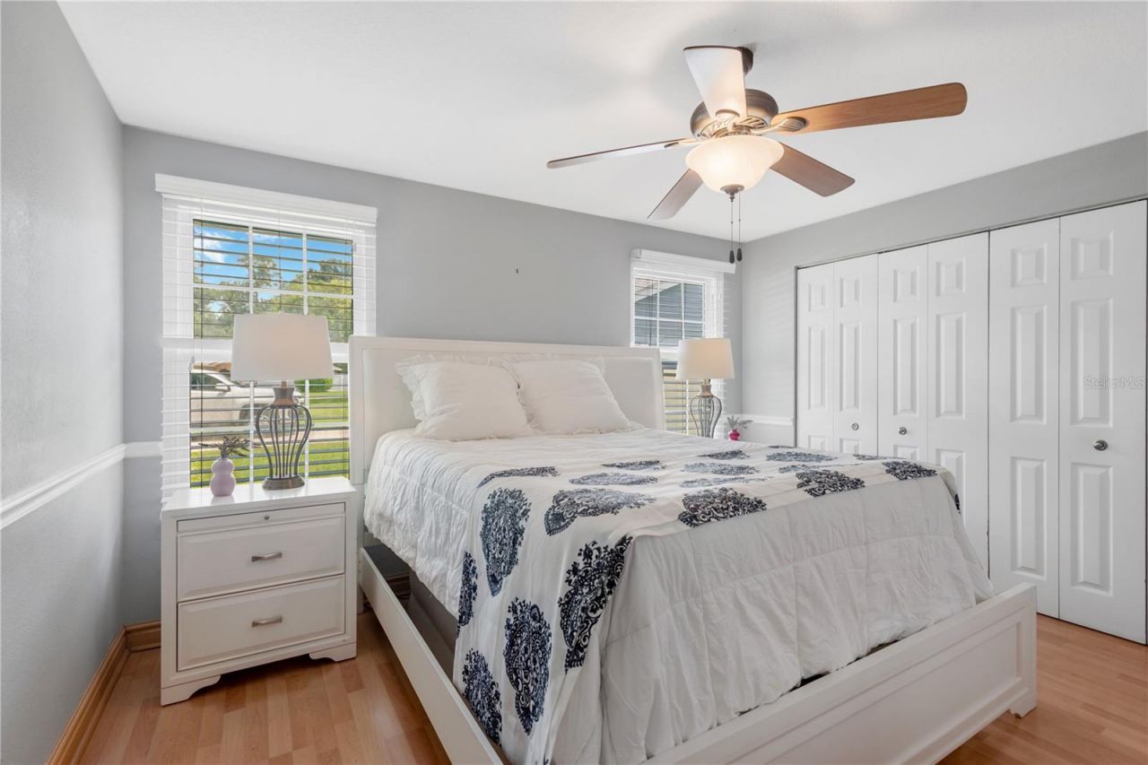 819 Jacaranda Drive, Oldsmar, FL 34677 Photo