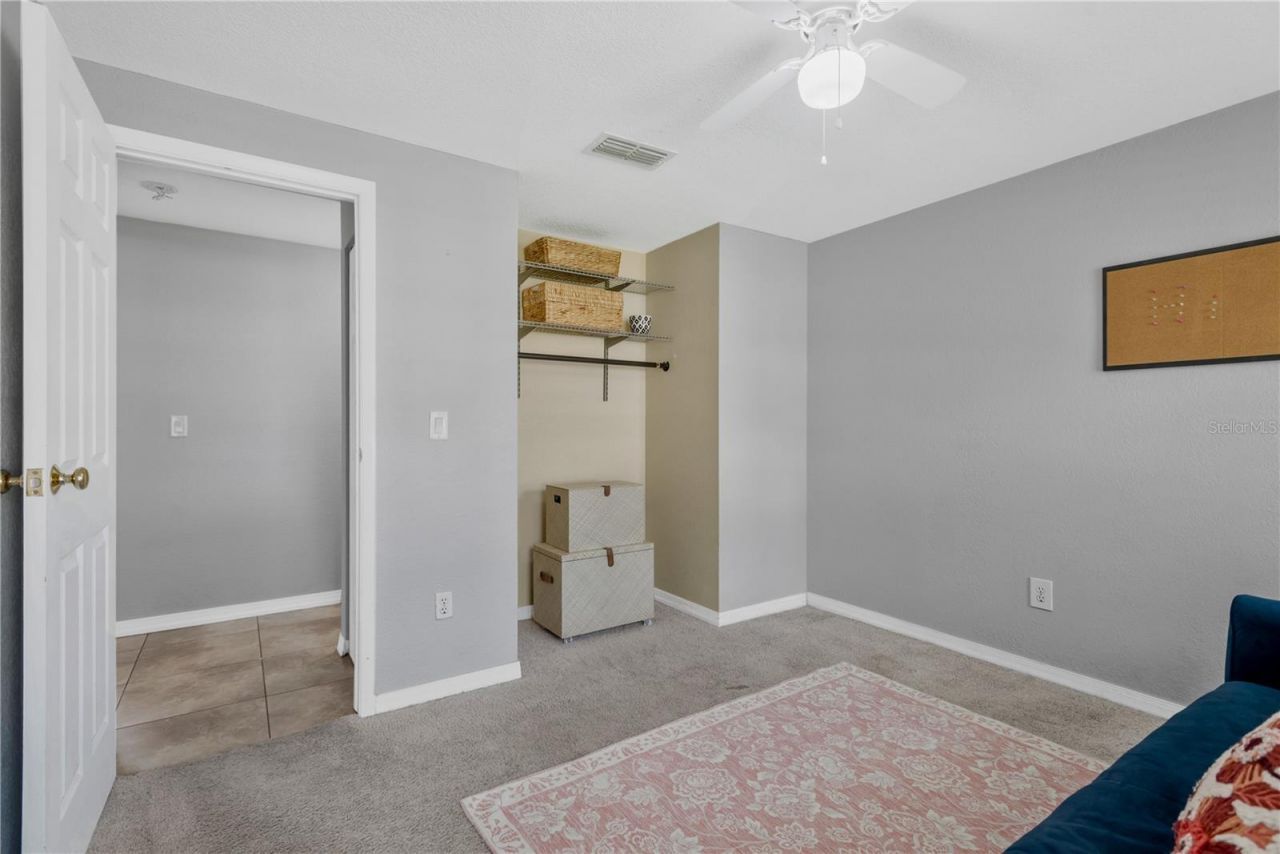 819 Jacaranda Drive, Oldsmar, FL 34677 Photo