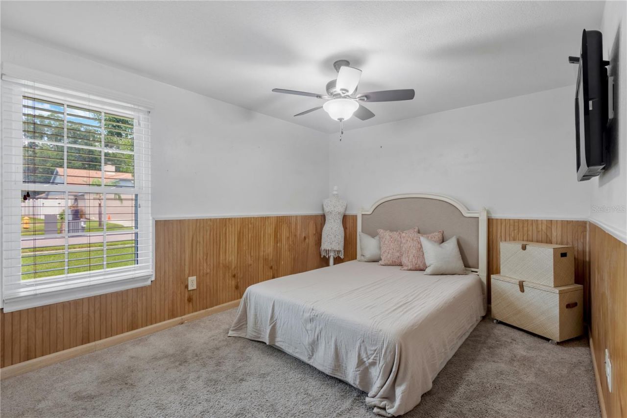 819 Jacaranda Drive, Oldsmar, FL 34677 Photo