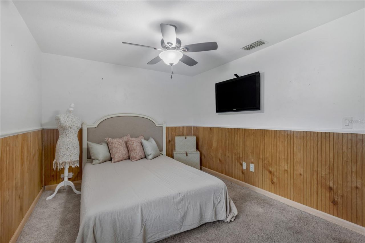 819 Jacaranda Drive, Oldsmar, FL 34677 Photo