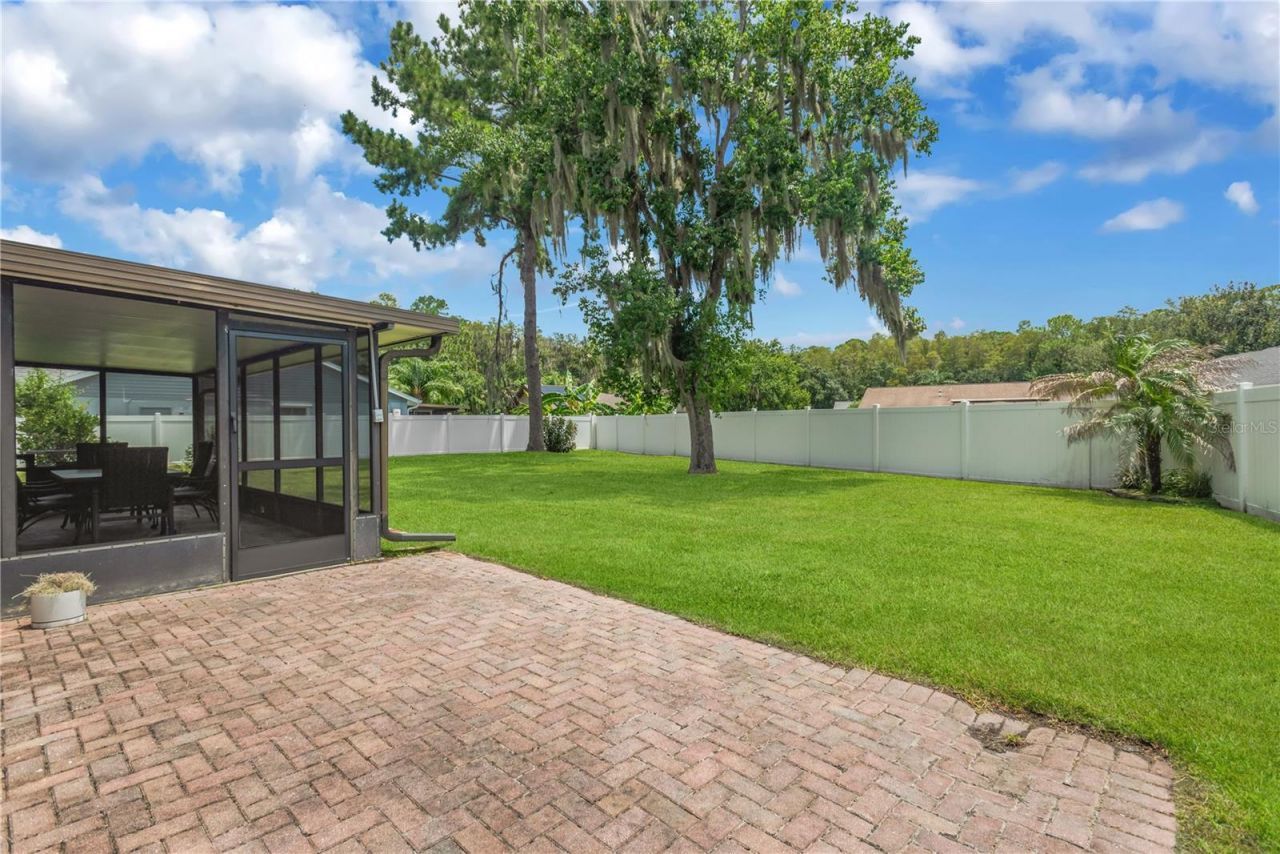 819 Jacaranda Drive, Oldsmar, FL 34677 Photo