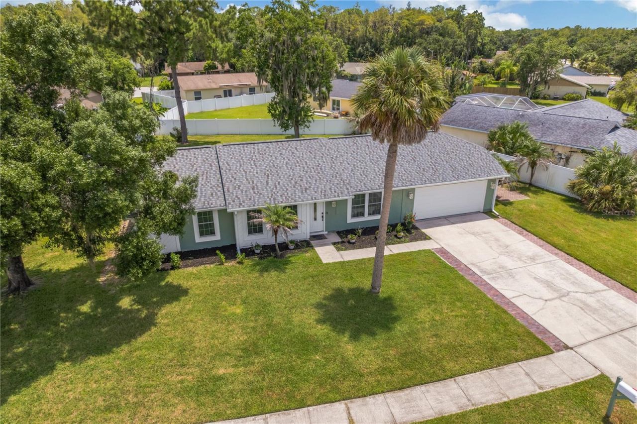 819 Jacaranda Drive, Oldsmar, FL 34677 Photo