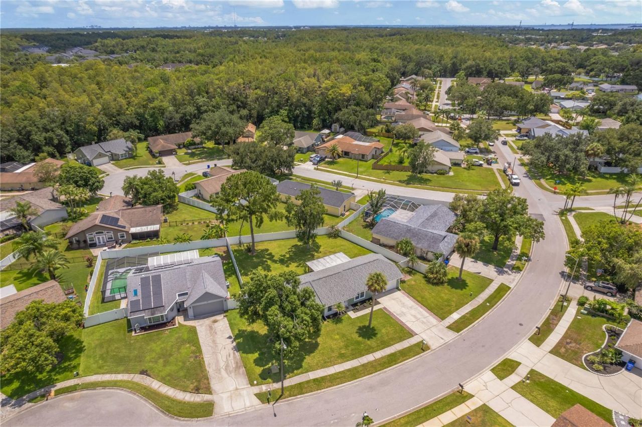 819 Jacaranda Drive, Oldsmar, FL 34677 Photo