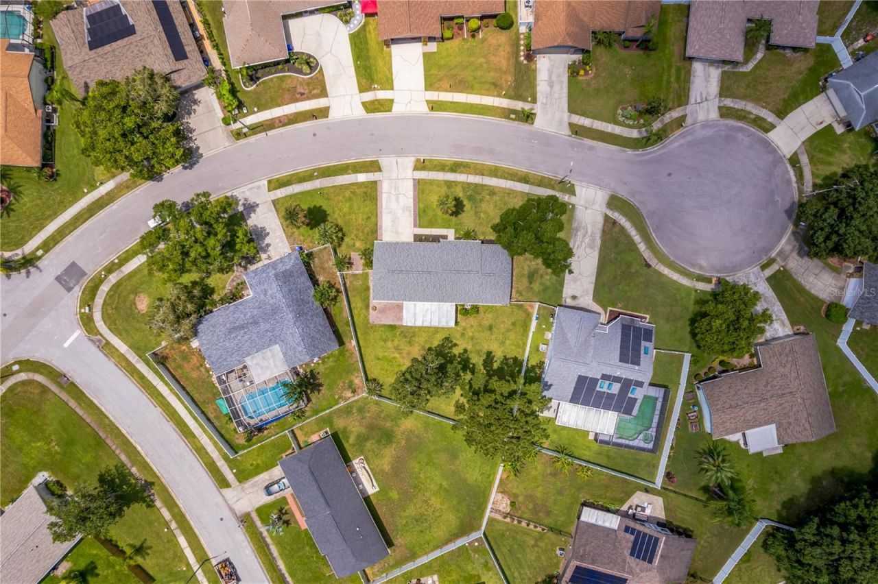 819 Jacaranda Drive, Oldsmar, FL 34677 Photo