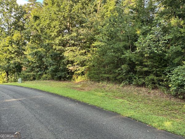 0 Town Creek Road, Ellijay, GA 30175