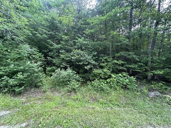 n/a Wilder Hwy, Jamestown, TN 38556