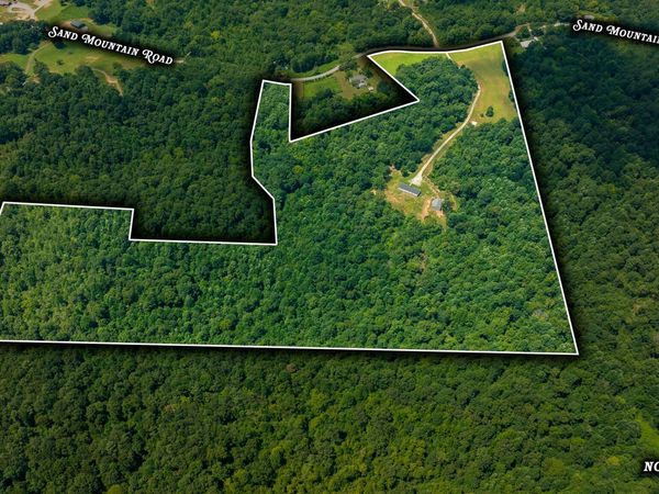 3910 Sand Mountain Rd , Enville, TN 38332