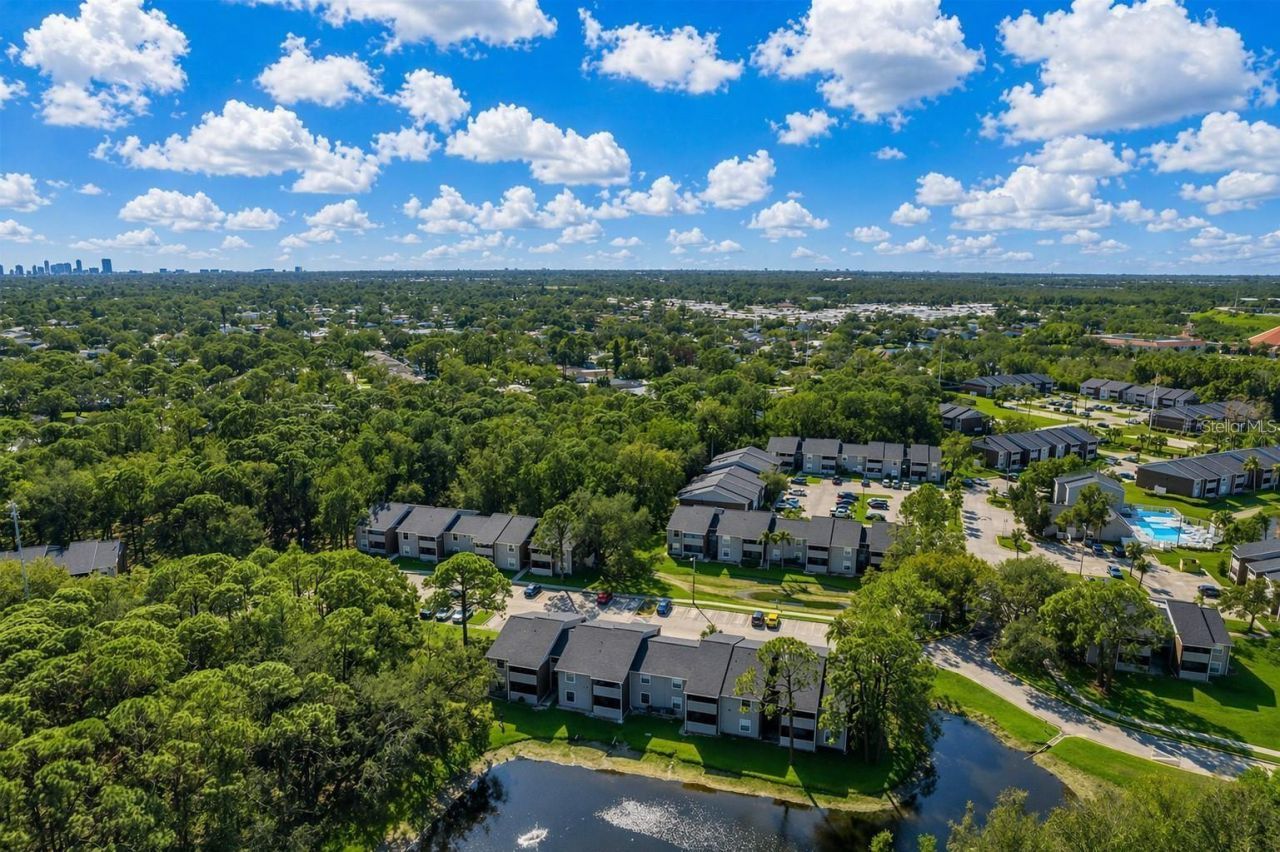 1400 Gandy Boulevard N, Unit 816, Saint Petersburg, FL 33702 Photo